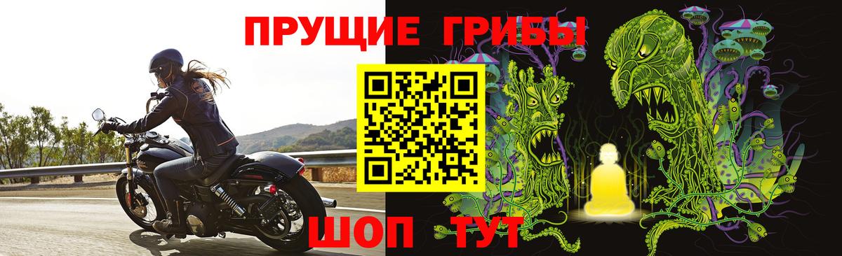 Псилоцибиновые грибы GOLDEN TEACHER  Вход с VPN  Псилоцибиновые грибы мицелий  Коломна 